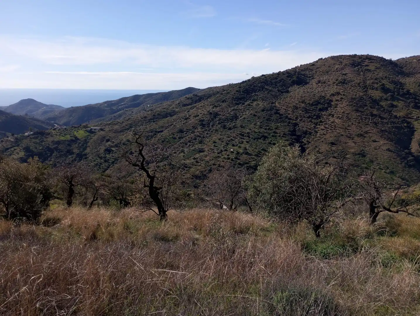 Exterior view of Land for sale in Málaga