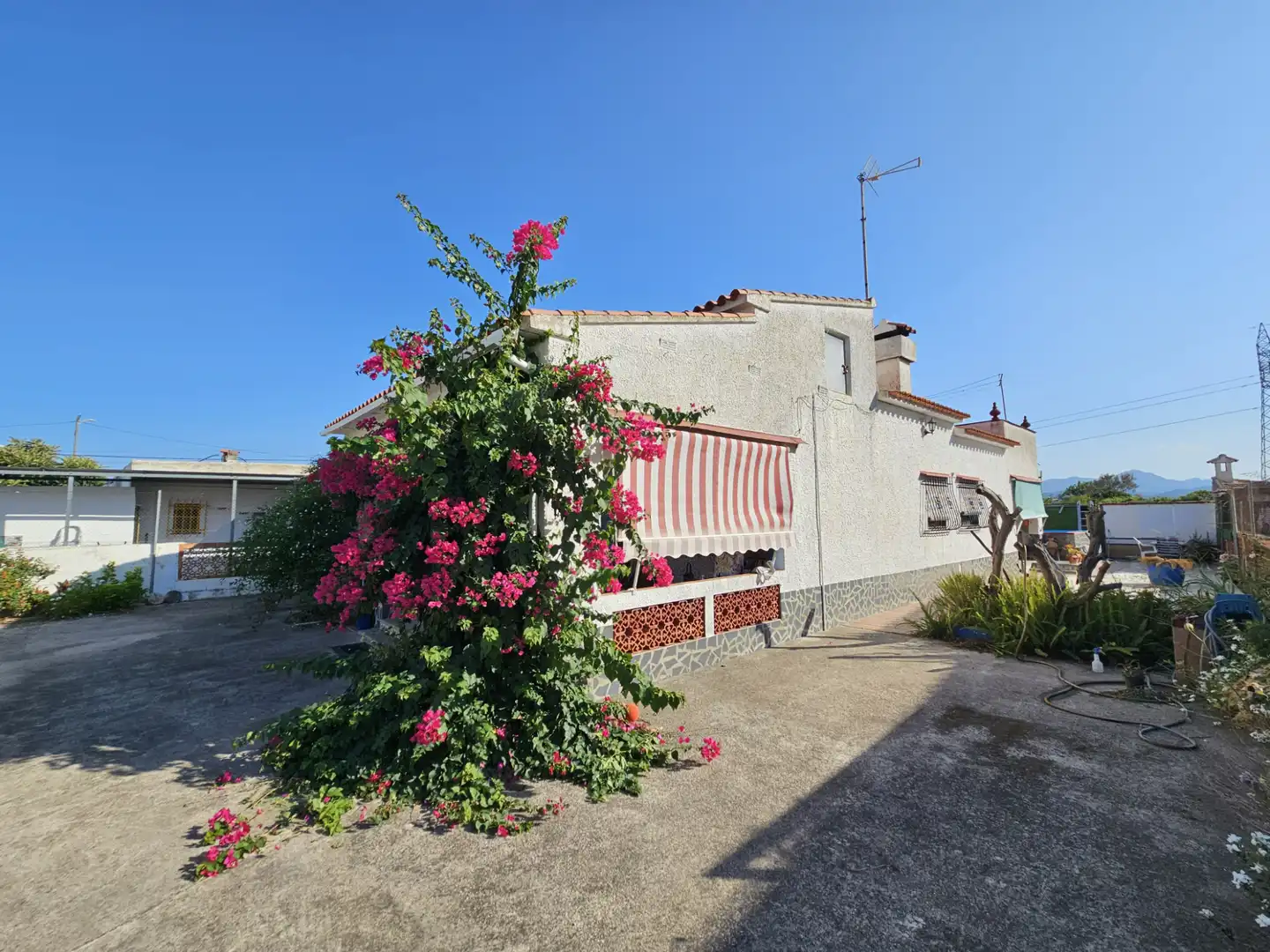 Vista exterior de Casa o xalet en venda en Oliva amb Jardí privat, Piscina i Moblat