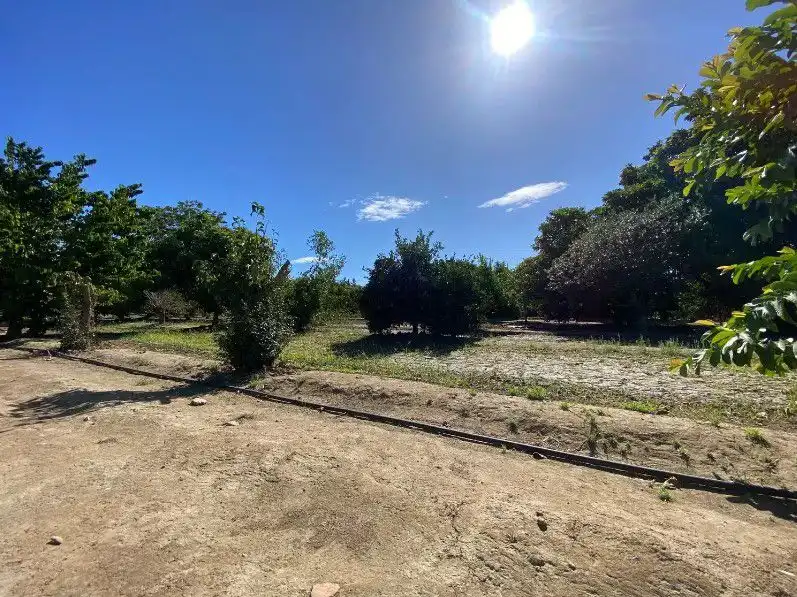 Finca rústica en venta en Torreguadiaro - San Diego