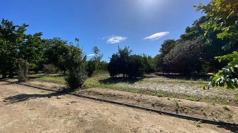 Foto 2 de Finca rústica en venda a Torreguadiaro - San Diego, Sotogrande