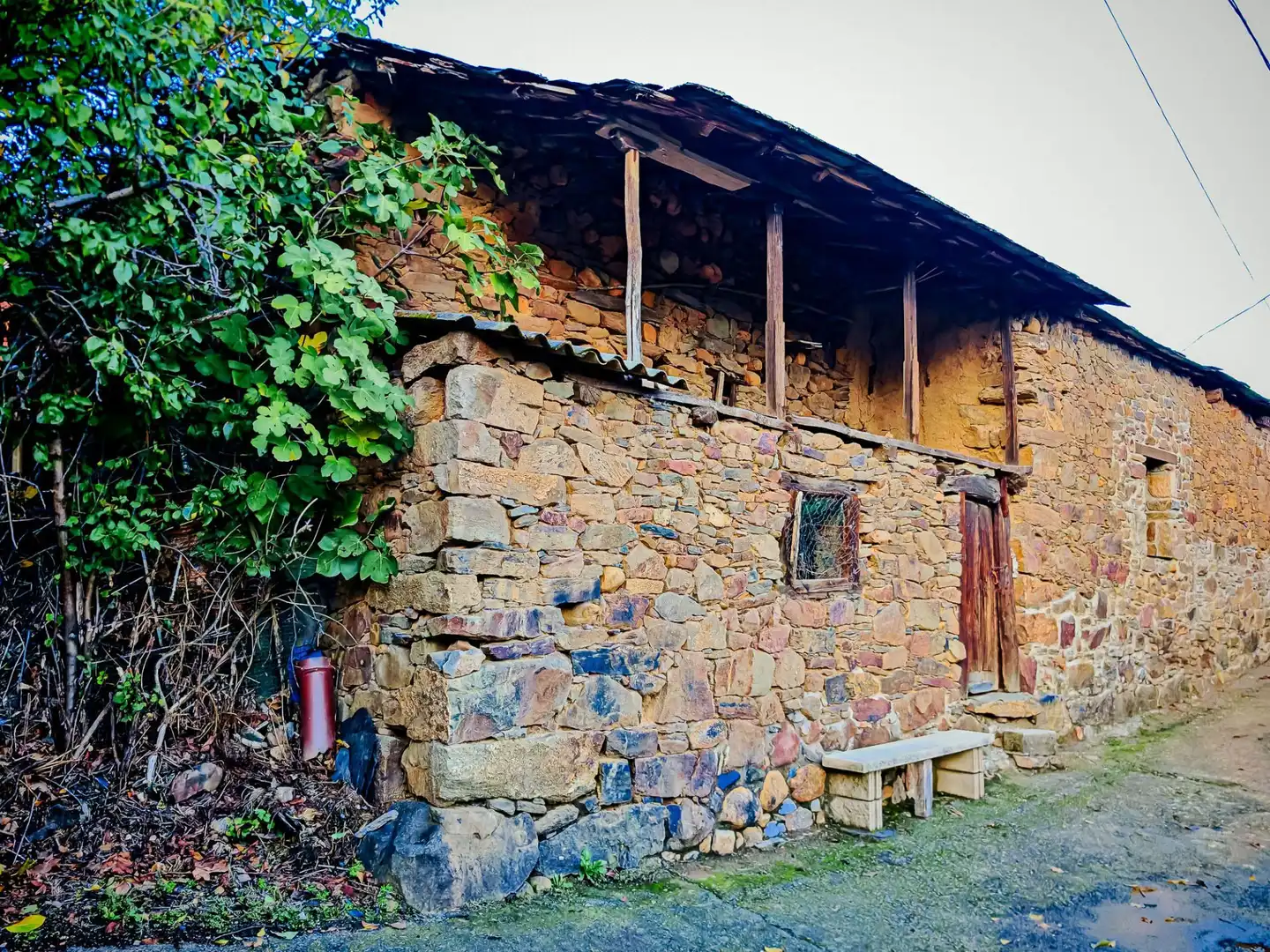 Vista exterior de Finca rústica en venda en Toreno