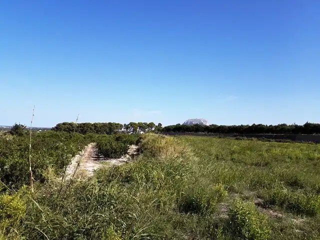 Terreny rústic en venda a Ondara, imagen 6
