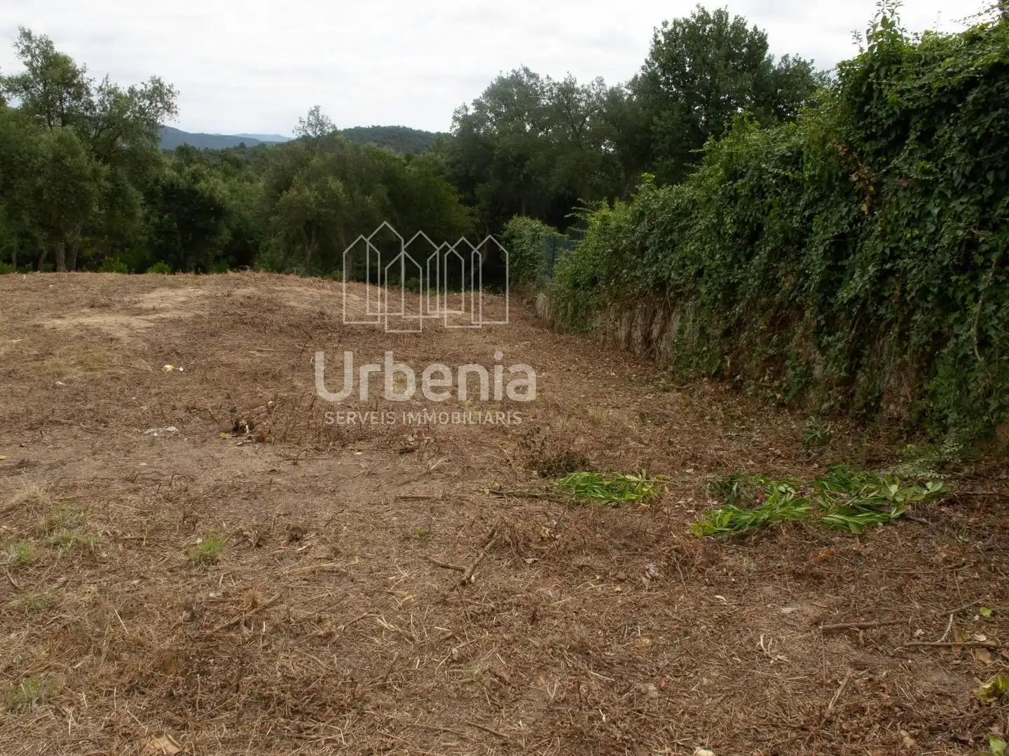 Rural land for sale in Maçanet de la Selva pueblo, imagen 5