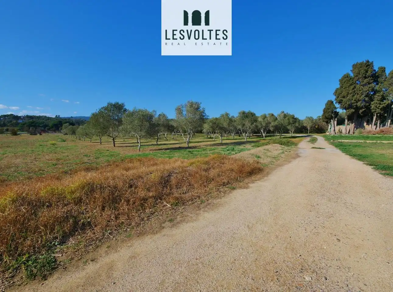 Lands and plots for sale in Camí Ral polígon 5 paecel.la, imagen 34