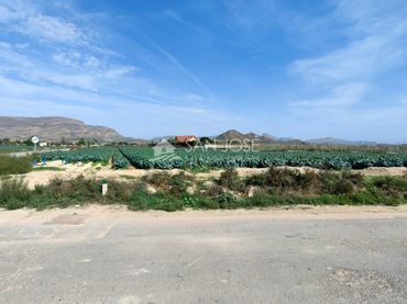 Terreno rústico en venta en Monforte del Cid