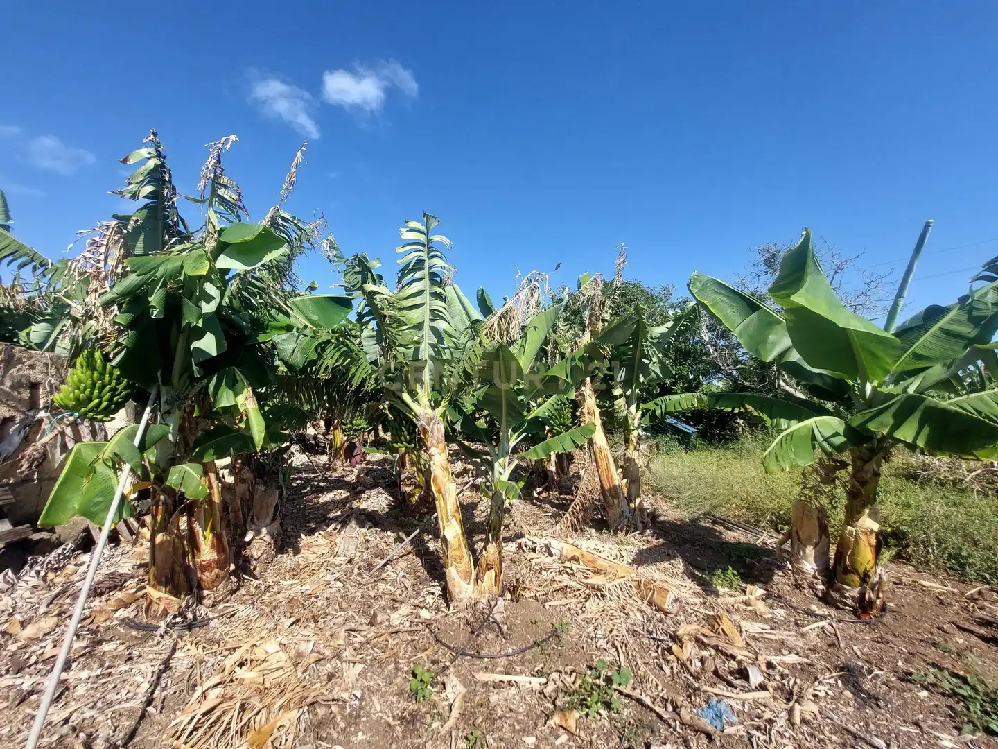 Land for sale in San Cristóbal de la Laguna