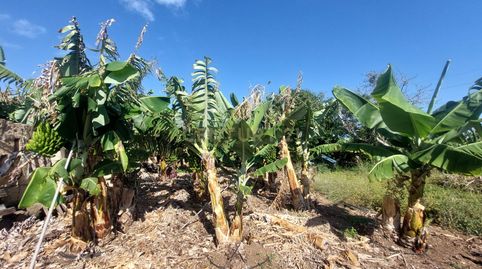 Foto 4 de Terreno en venta en Valle de Guerra, San Cristóbal de la Laguna