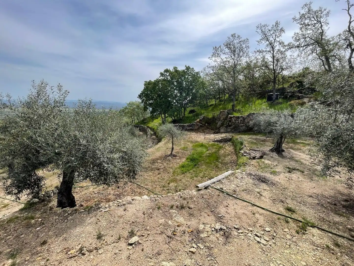 Terreni e lotti in vendita a Montánchez, imagen 29