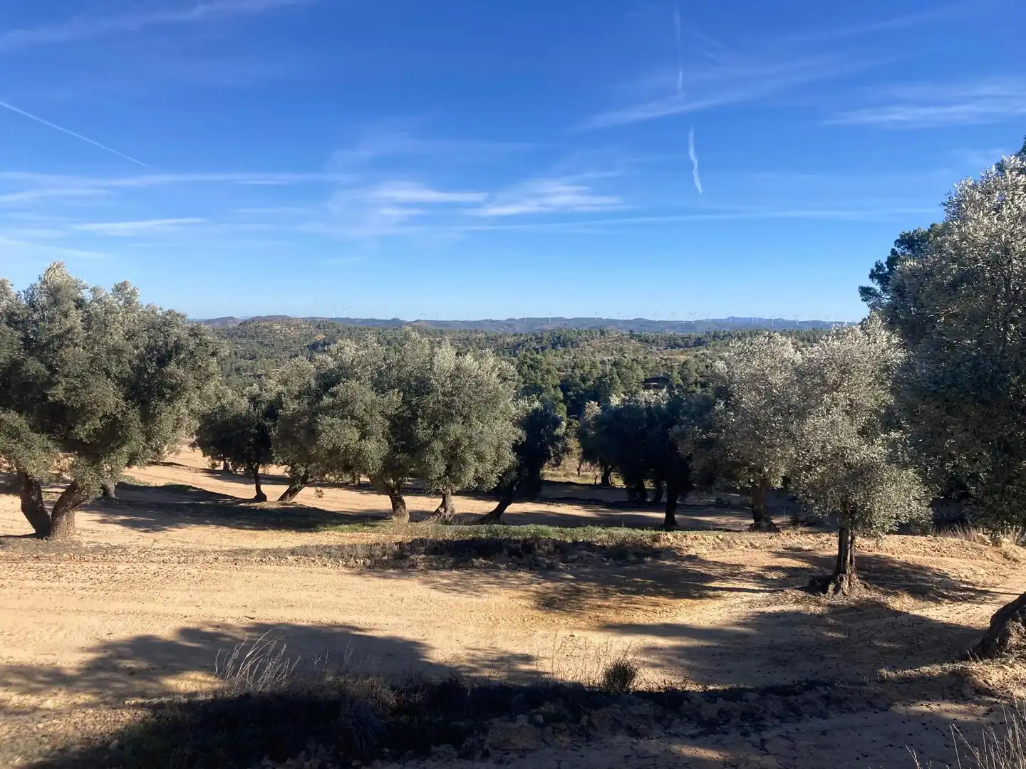 Terreni e lotti in vendita a Calaceite, imagen 7