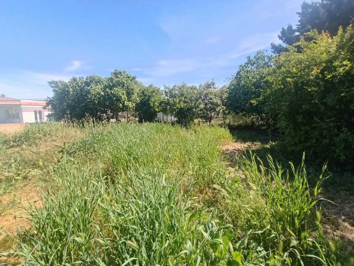 Terreny residencial en venda a Ctra Sanlúcar - Cuatro Pinos, imagen 3