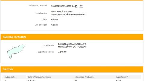 Foto 5 de Terreno en venta en Avenida Jerónimos, La Ñora, Murcia Capital