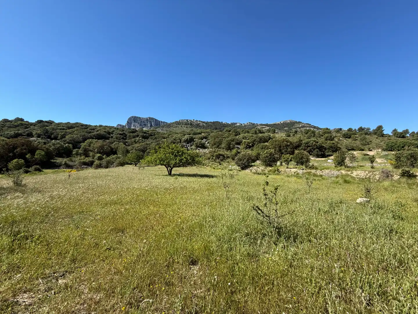 Casa con jardín en venta en Castell de Castells, imagen 2