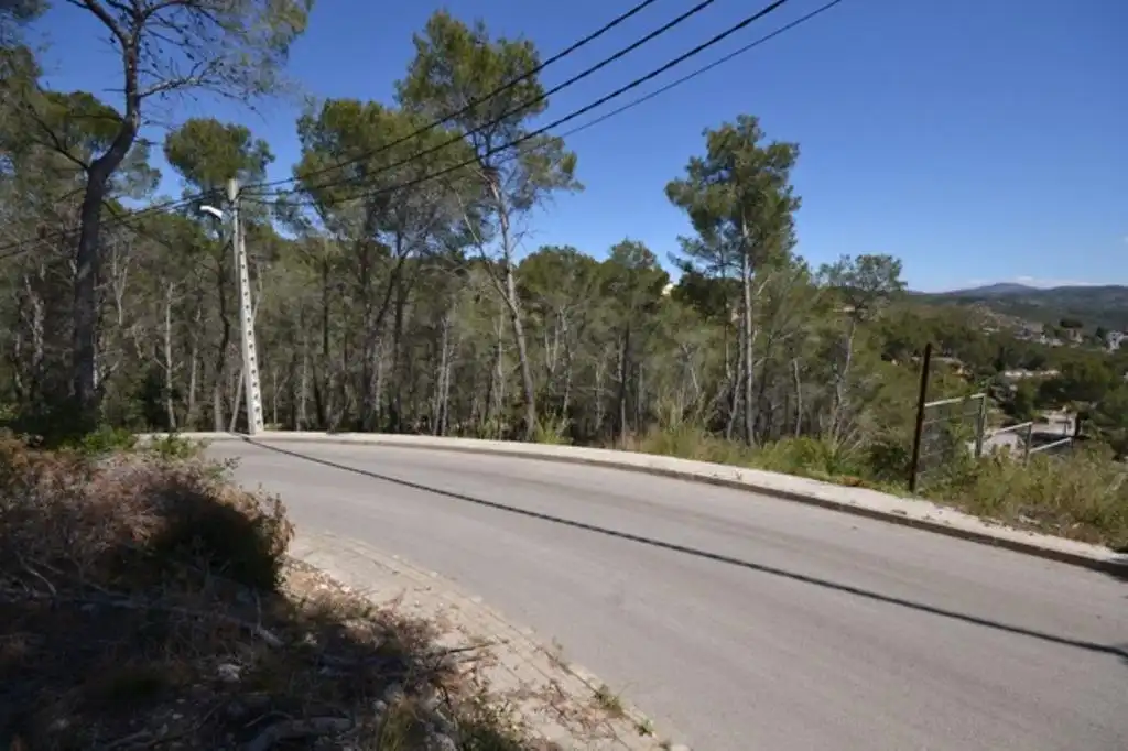 Terrain rustique à vendre à ESTRELLA, imagen 3