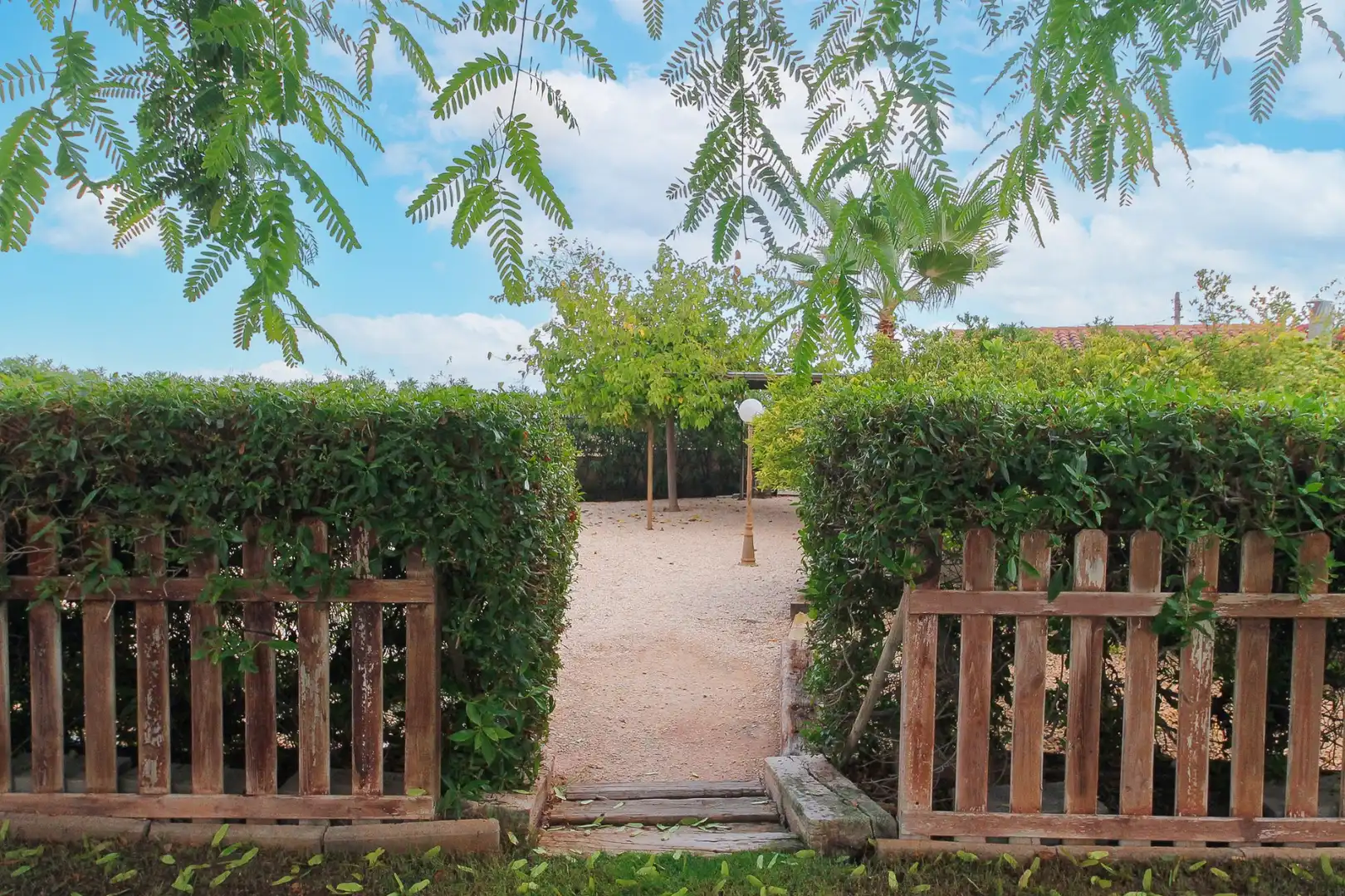 Jardí de Casa o xalet en venda en Alicante / Alacant