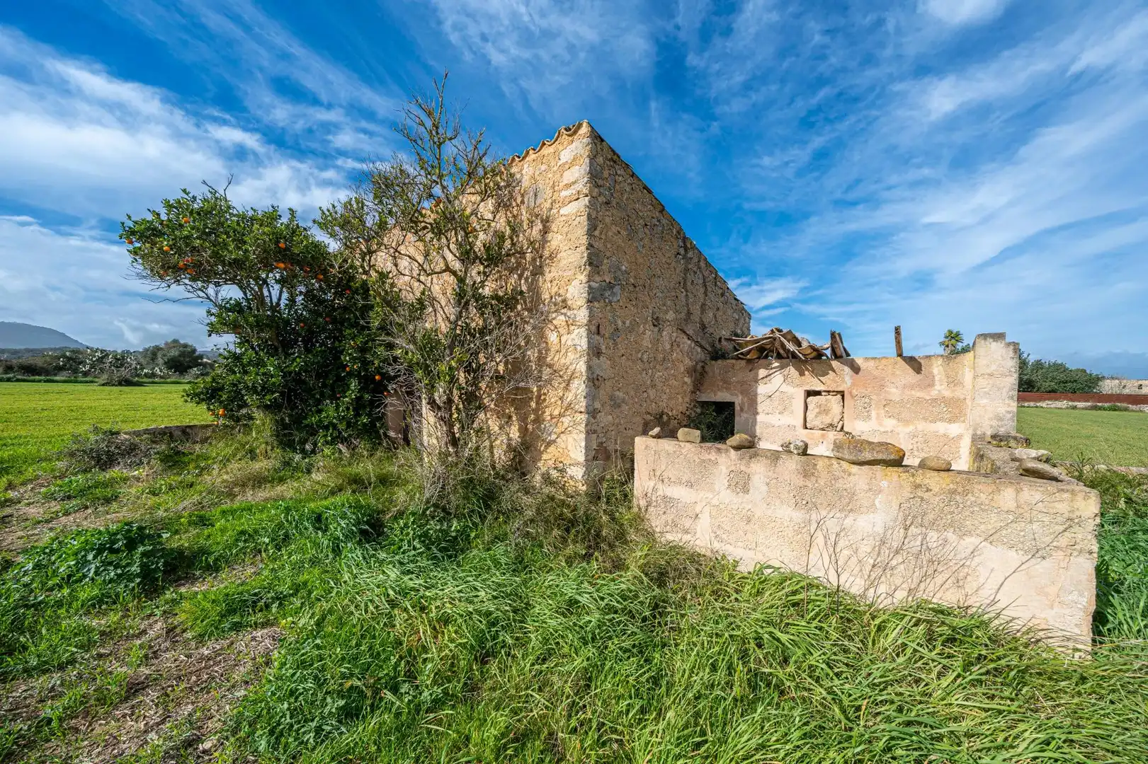 Vista exterior de Finca rústica en venta en Montuïri