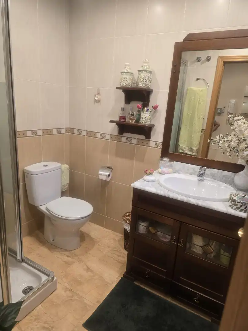 Baño de Casa o chalet en venta en Centro