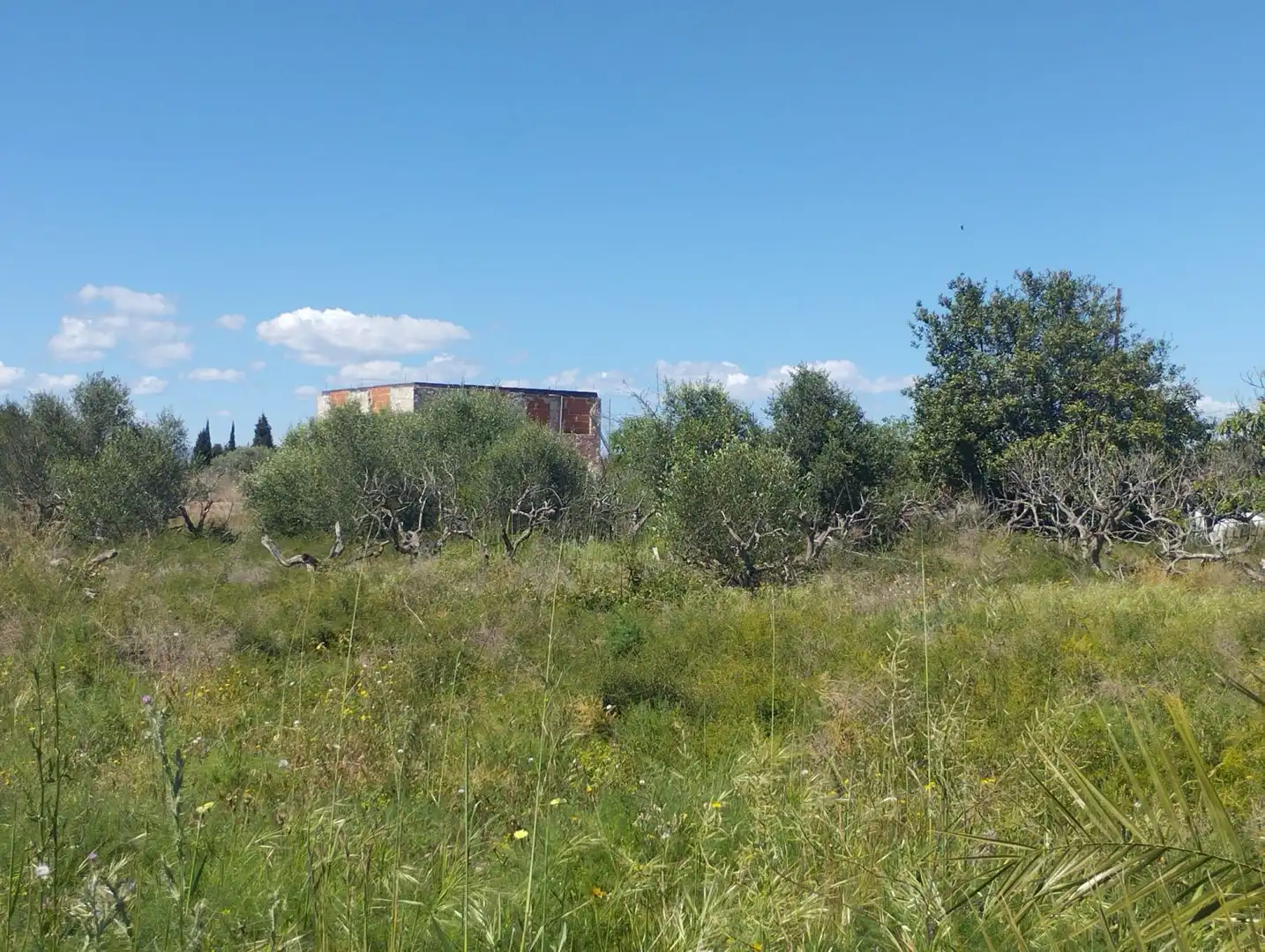 Terreni e lotti in vendita a Costa Norte, imagen 25