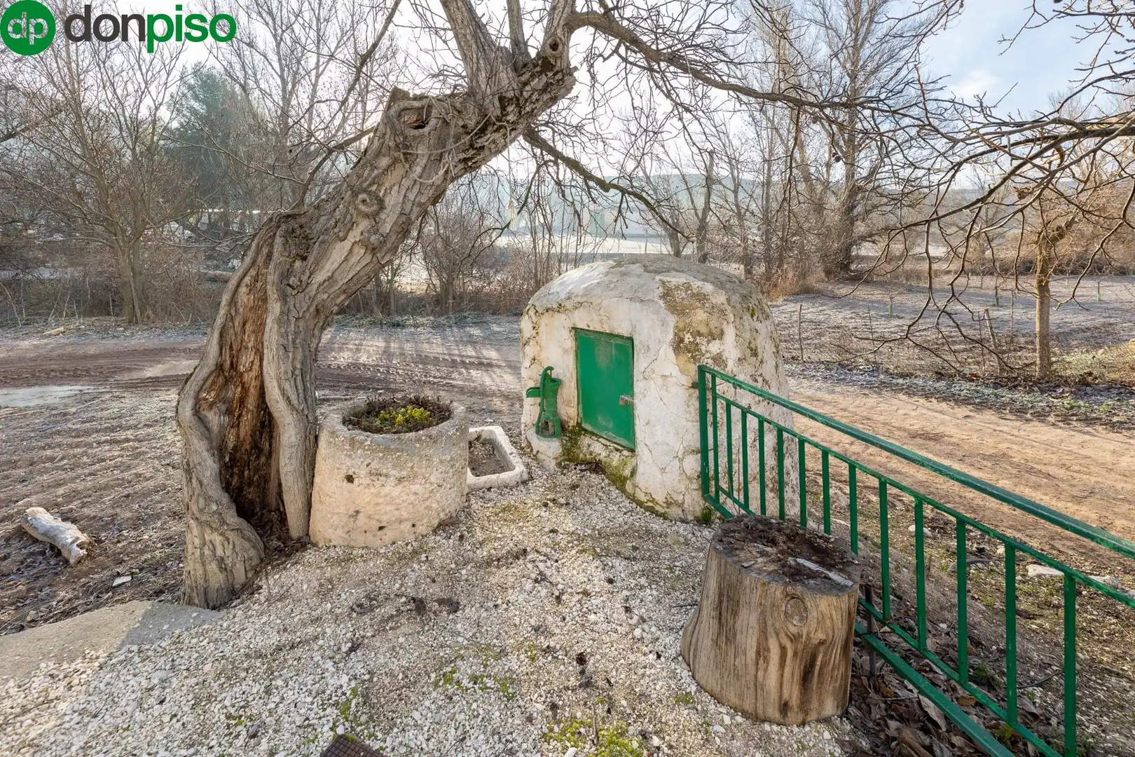 Finca rústica en venta en Calle CAGALONA, 3, Píñar