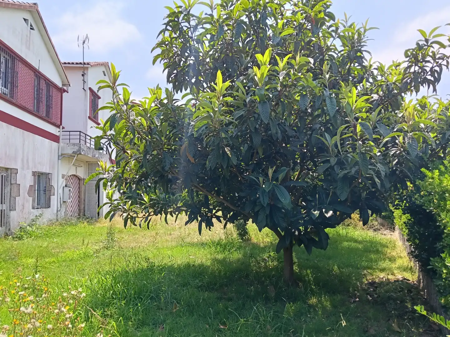 Maison avec jardin à vendre à Betanzos, imagen 15