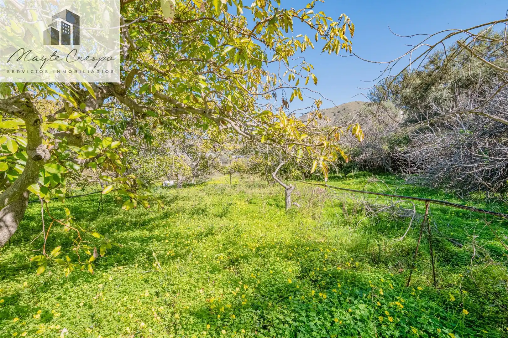 Detached house with pool for sale in Calle alcubillas 44, imagen 60