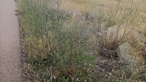 oferta de finca  , immagine 4