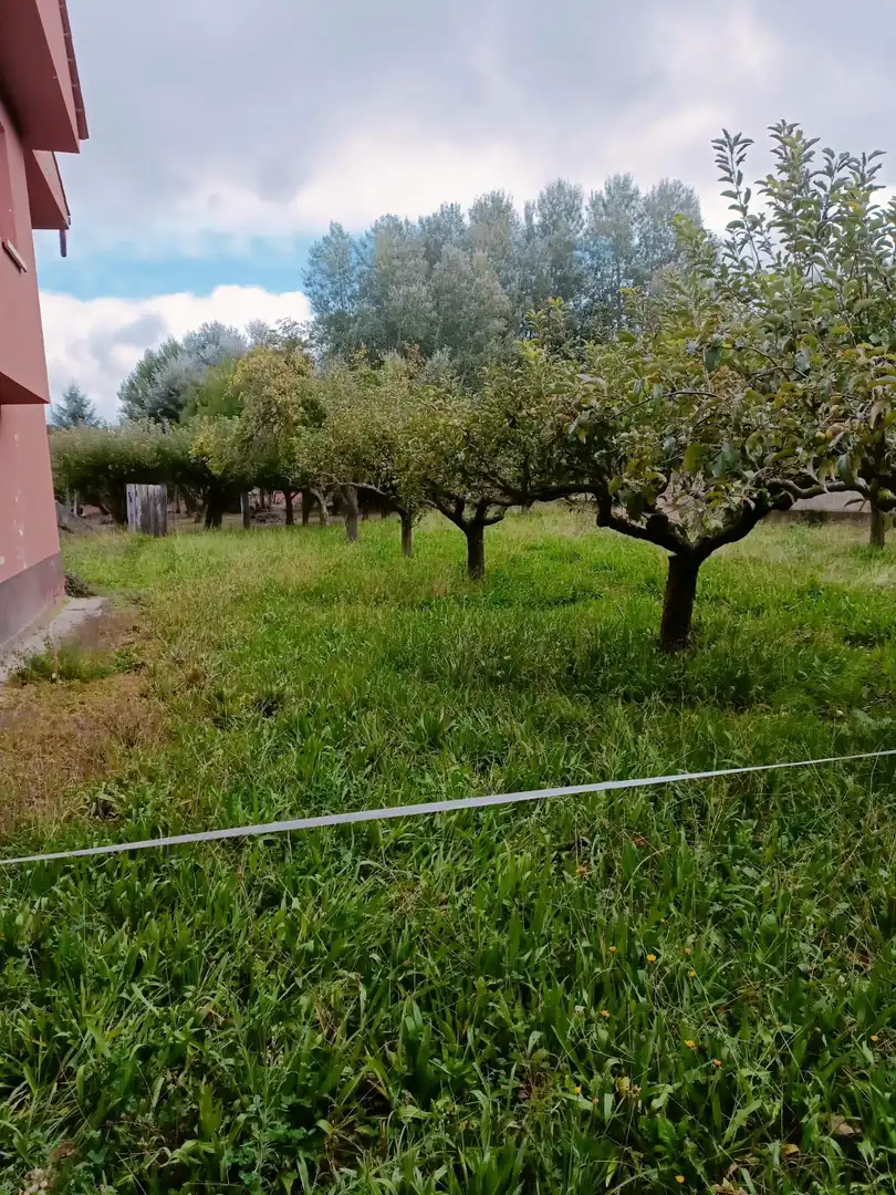 Wohnbaugrundstück zum Verkauf in Calle CACHAN-VR, imagen 25