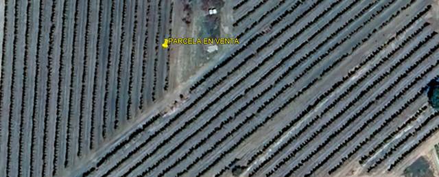 Terreno residencial en Venta en Carrer la Creu en Els Alamús