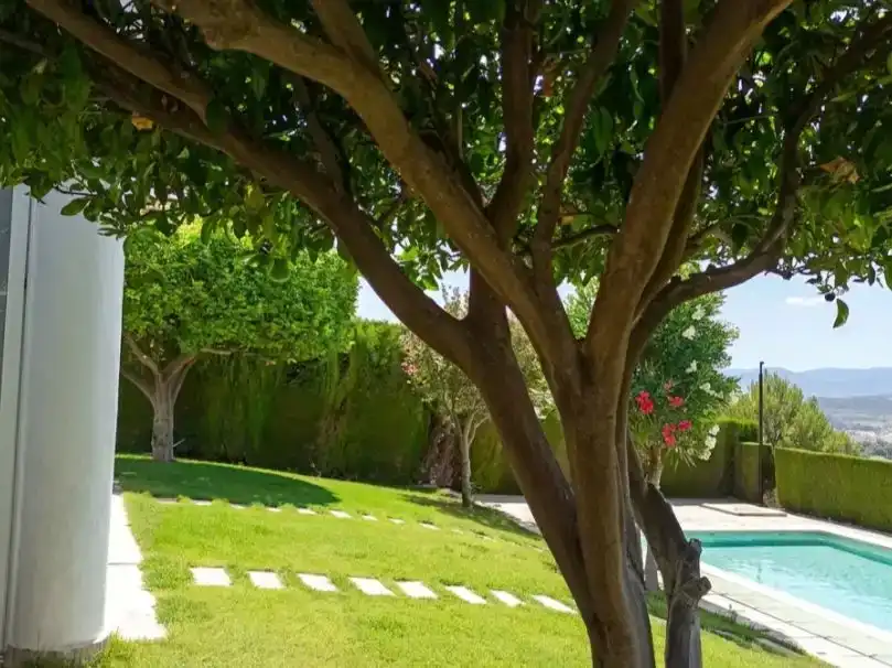 Jardí de Casa o xalet en venda en Caravaca de la Cruz amb Aire condicionat, Piscina i Balcó