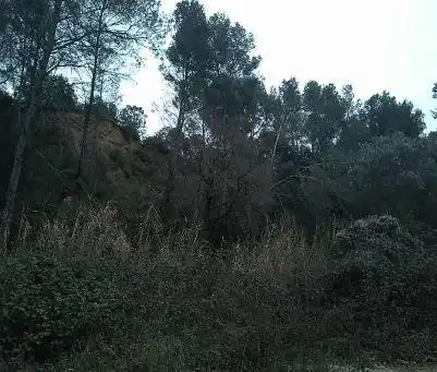 Terreno rústico en venta en Viladecavalls, imagen 2