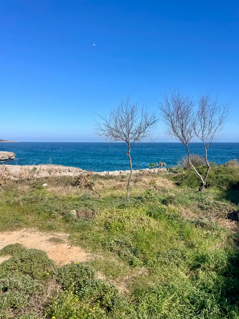 Detached homes for rent in S'Illot - Cala Morlanda