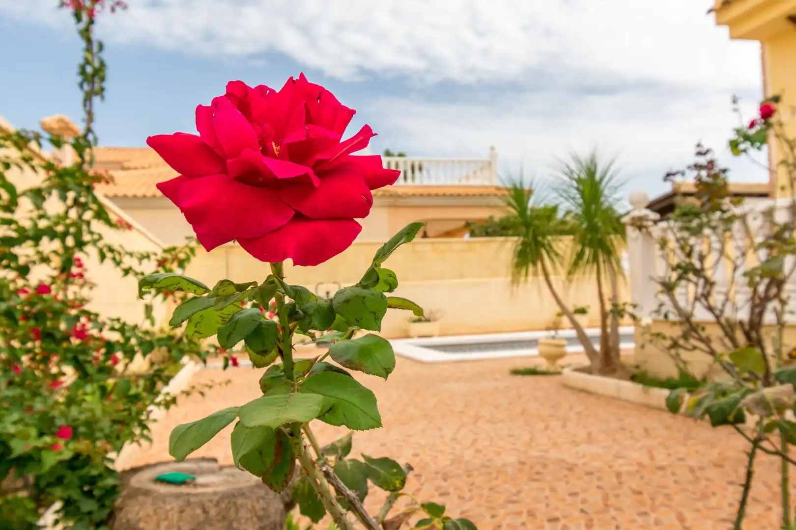 Chalet con terraza en venta en Orihuela Costa, imagen 53