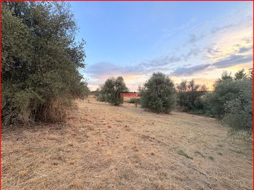 Rural land for sale in La Torre de Esteban Hambrán