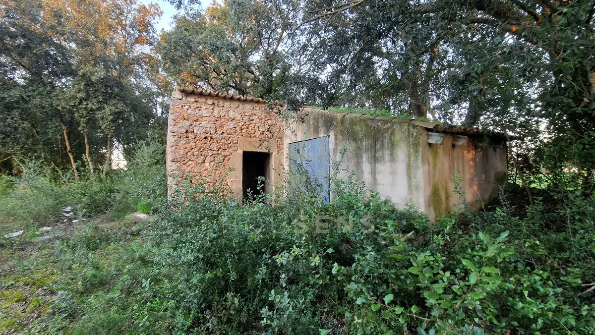 Terreny residencial en venda a Artà Poble, imagen 2