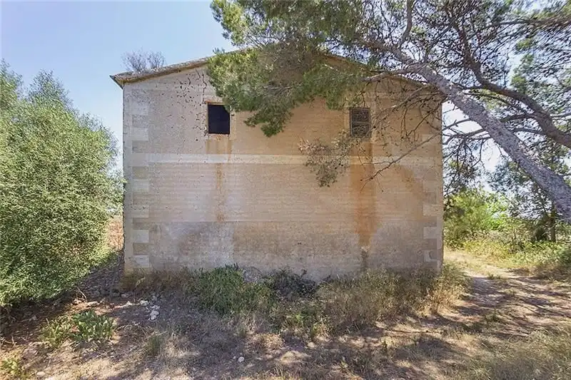 Exterior view of Country homes for sale in Manacor  with Private garden and Terrace