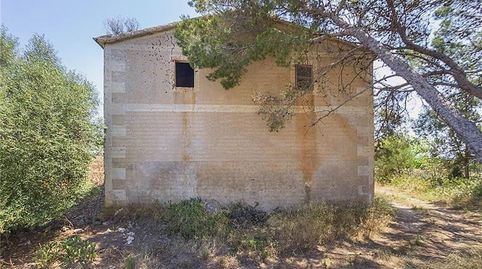 Photo 3 of Country homes for sale in Manacor Centre, Manacor