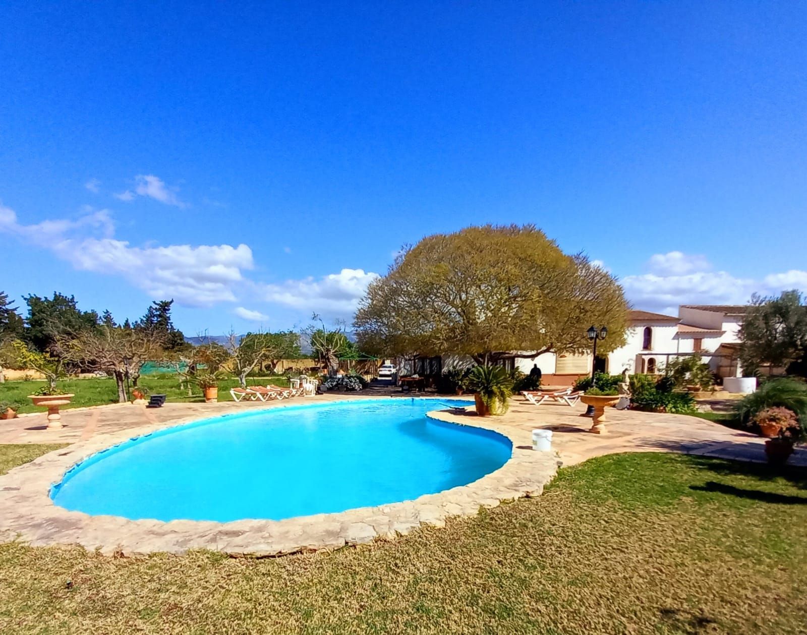 Casa o xalet en venda a Son Sardina