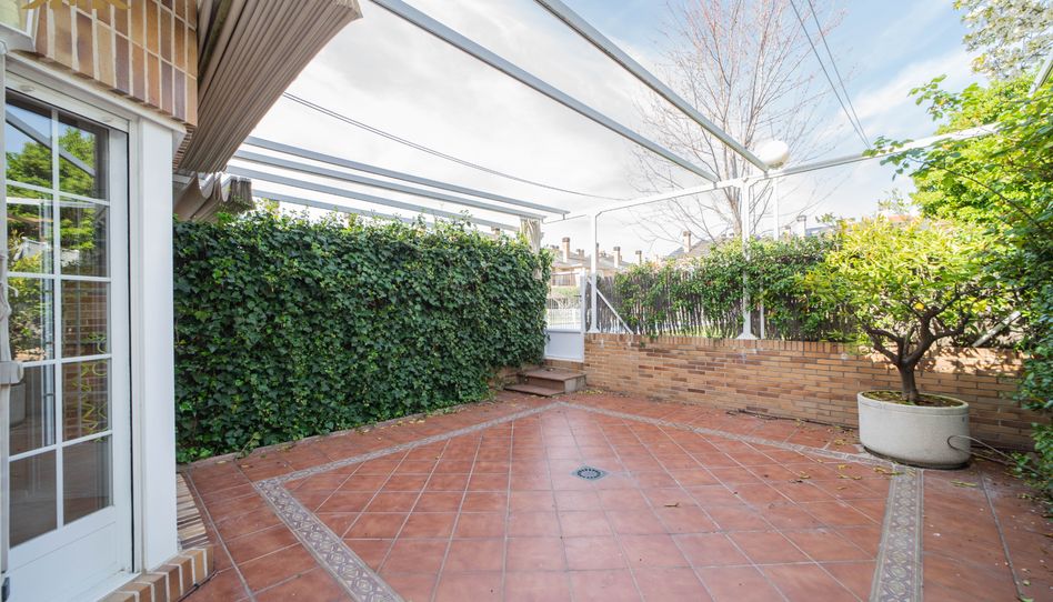Casa o chalet de alquiler en Calle Juan Ramón Jiménez, 2, Sector B - Imagen 5
