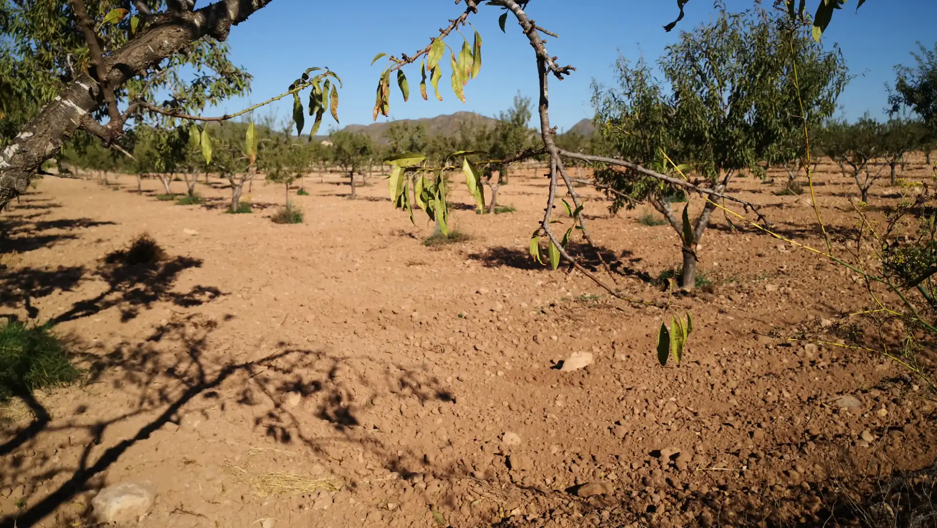 Rustikales Grundstück zum Verkauf in Pasaje Castillejos 5, imagen 2