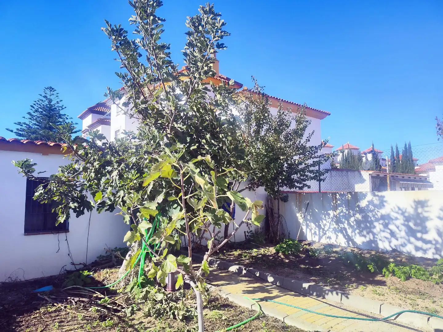 Jardí de Casa o xalet en venda en Ayamonte