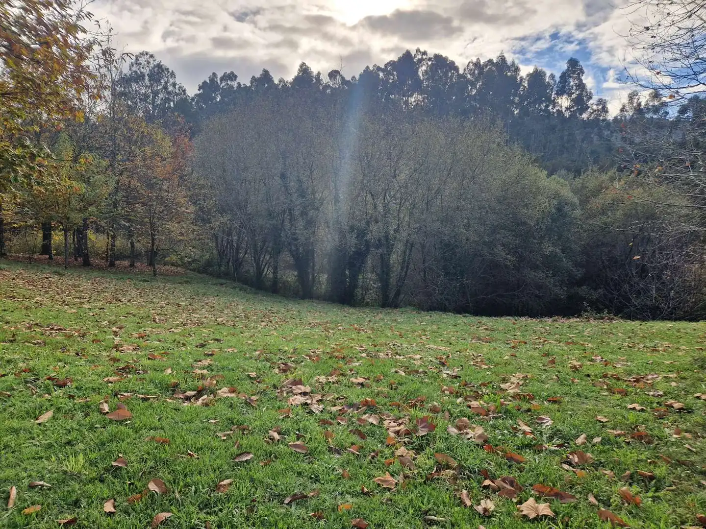 Grundstücke und Bauplätze zum Verkauf in Padrón