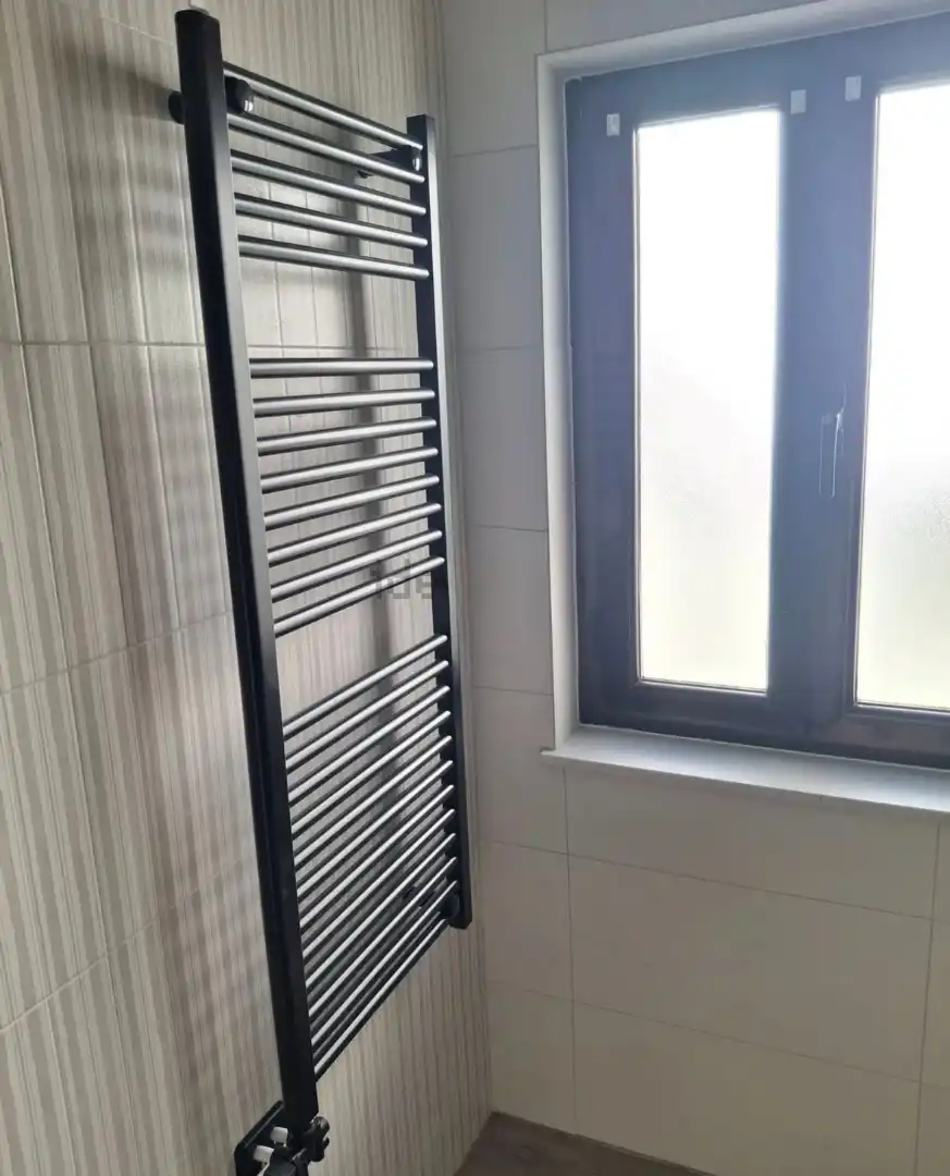 Flat with lift to rent in Avenida de Italia, imagen 10