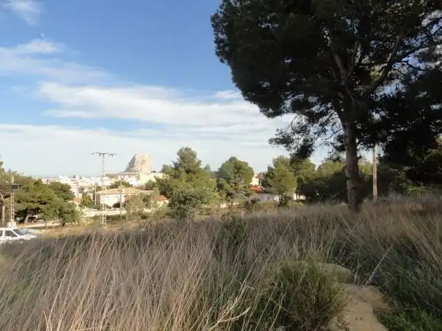 Terrenys i solars en venda a Zona Pueblo, imagen 4