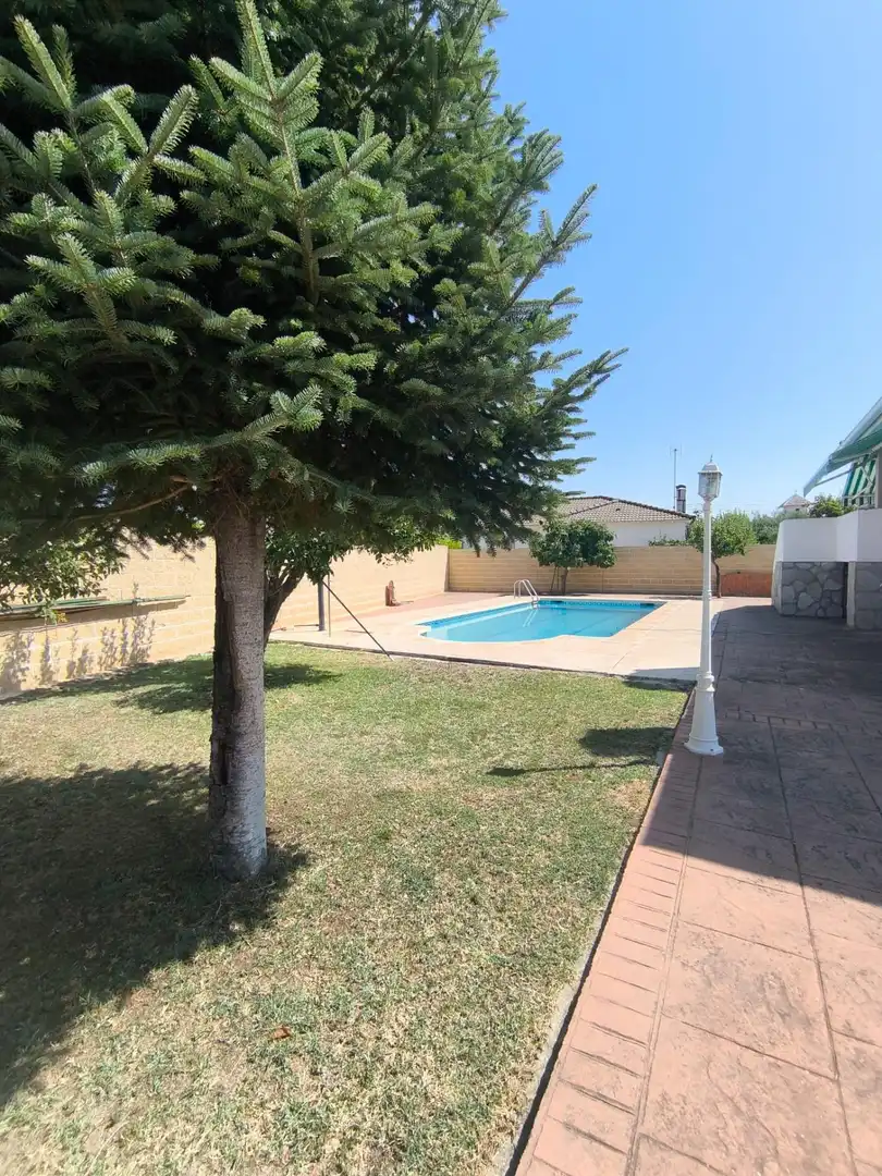 Villa con piscina in vendita a Carranque, imagen 7
