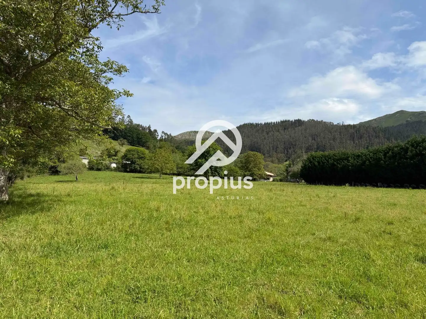 Rural land for sale in Bode, imagen 6