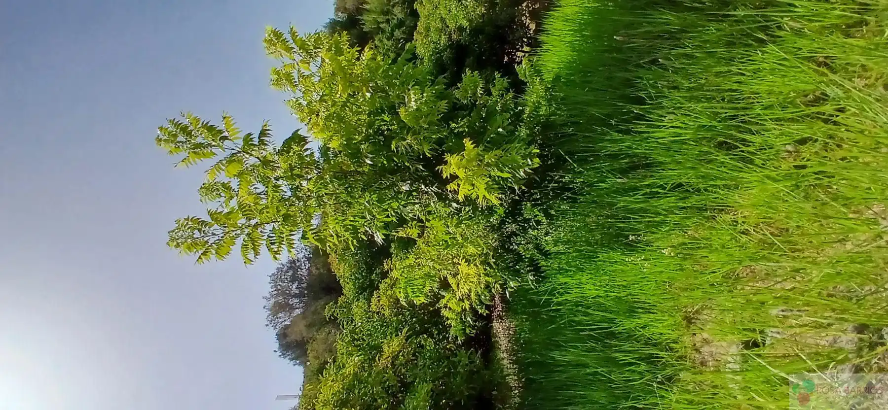 Terreni e lotti in vendita a Benamara - Atalaya, imagen 14