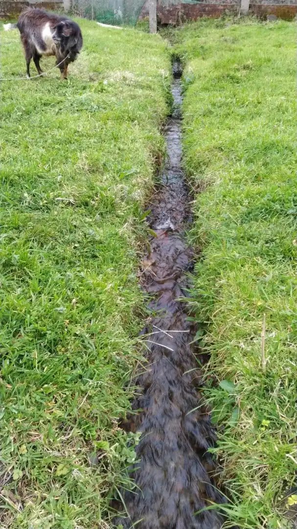 Terreni e lotti in vendita a Rúa Pérez Lugín 29, imagen 15