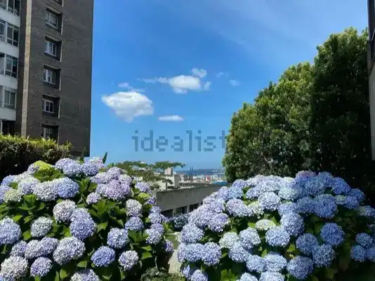 Vista exterior de Apartament en venda en Vigo  amb Jardí privat, Parquet i Traster