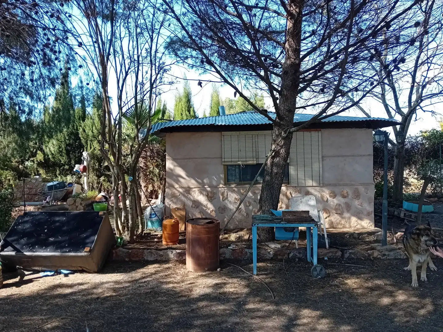 Vista exterior de Casa o chalet en venta en Bolaños de Calatrava con Terraza, Trastero y Amueblado