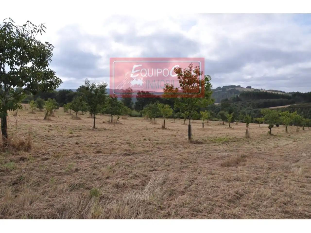 Casa o chalet en venta en Monterroso con Jardín privado y Alarma