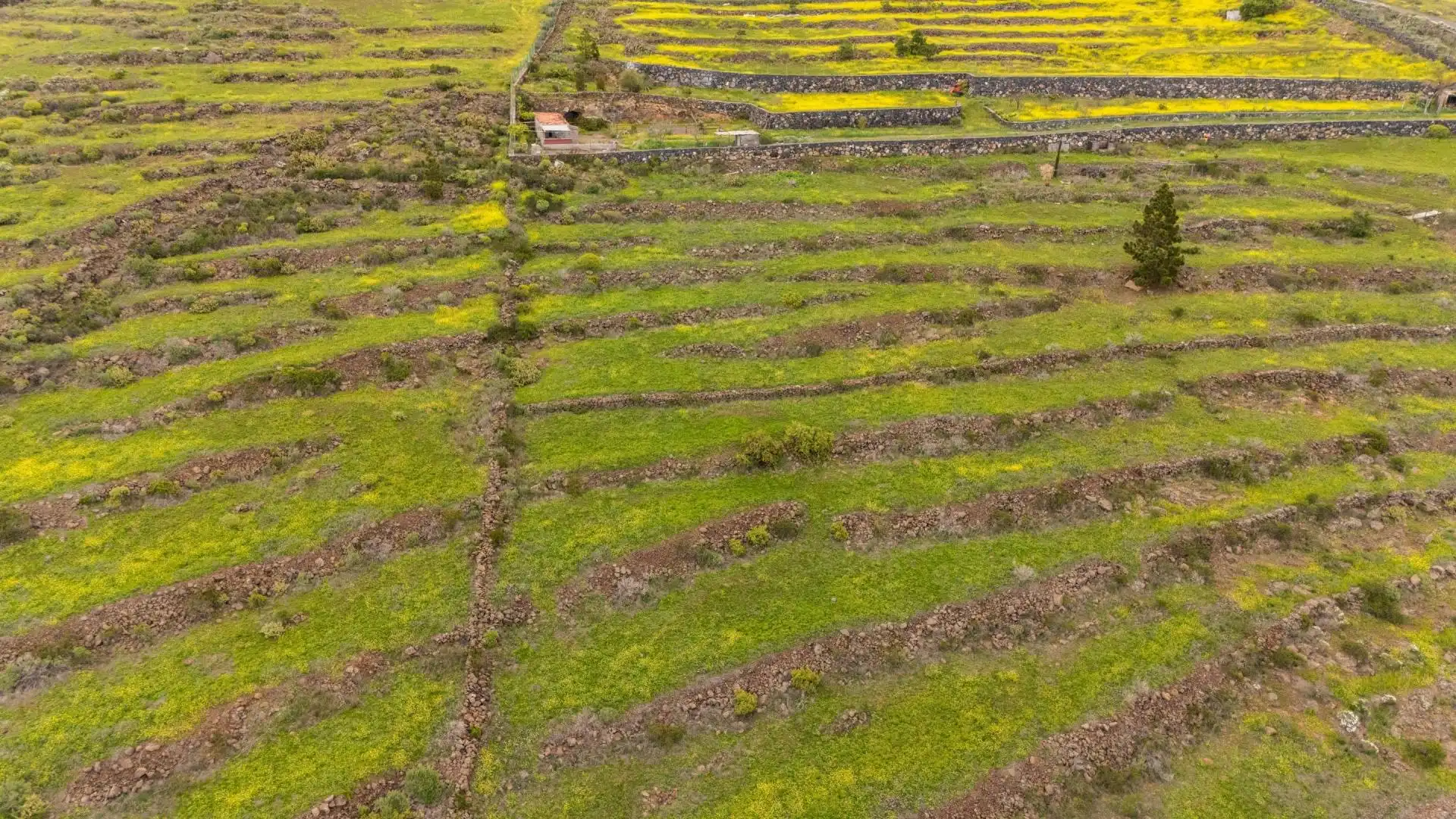 Terreno rustico in vendita a Casco Urbano, imagen 9